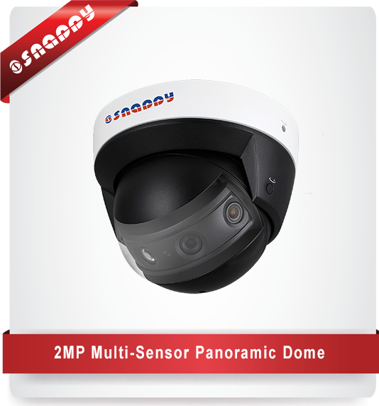 2MP multi-sensor panoramic IR dome camera