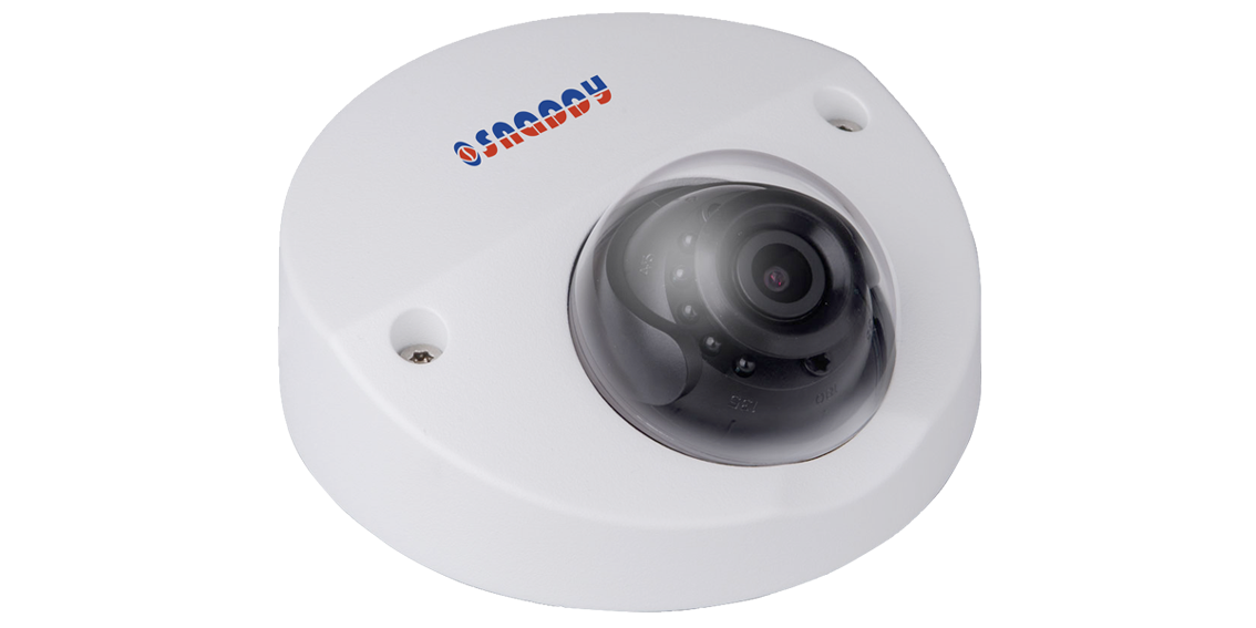 Vandal-proof Dome Wedge 2MP IR Camera