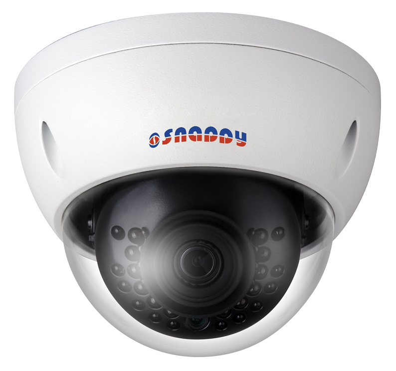 Mini Dome IR 4MP Camera - IP-MD4FWC-PS