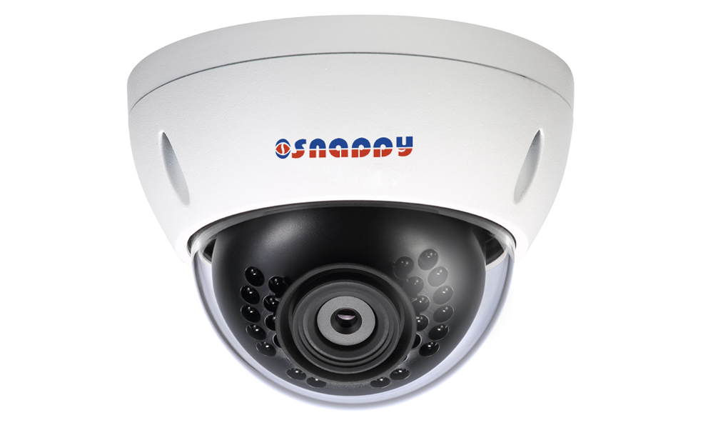 Mini Dome 2MP IR Camera - IP-D13FC