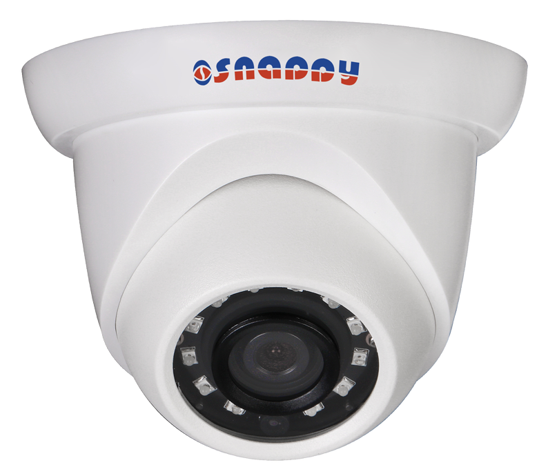 Eyeball 1MP IR Camera